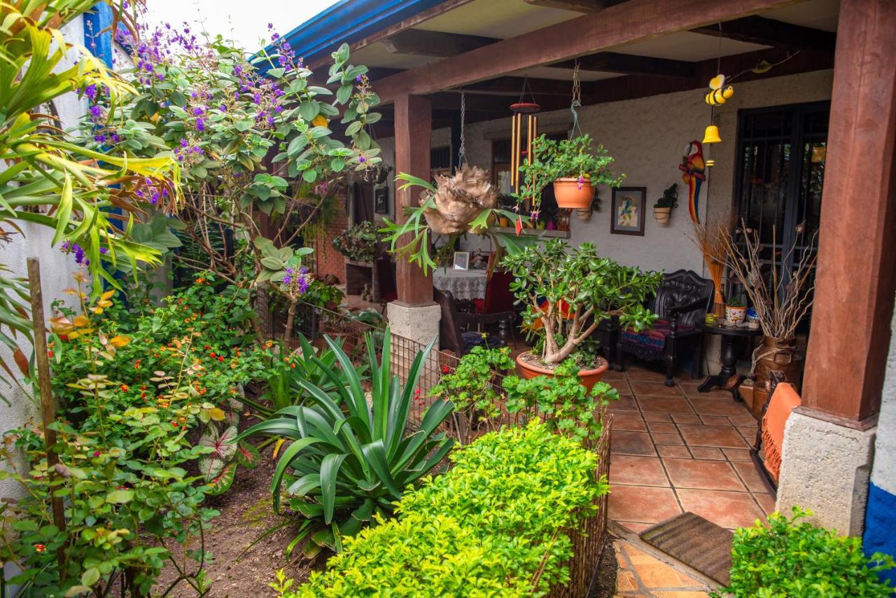 La Casa De Mama Coyita Hotel Cartago Exterior photo