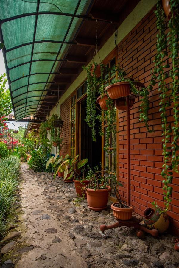 La Casa De Mama Coyita Hotel Cartago Exterior photo